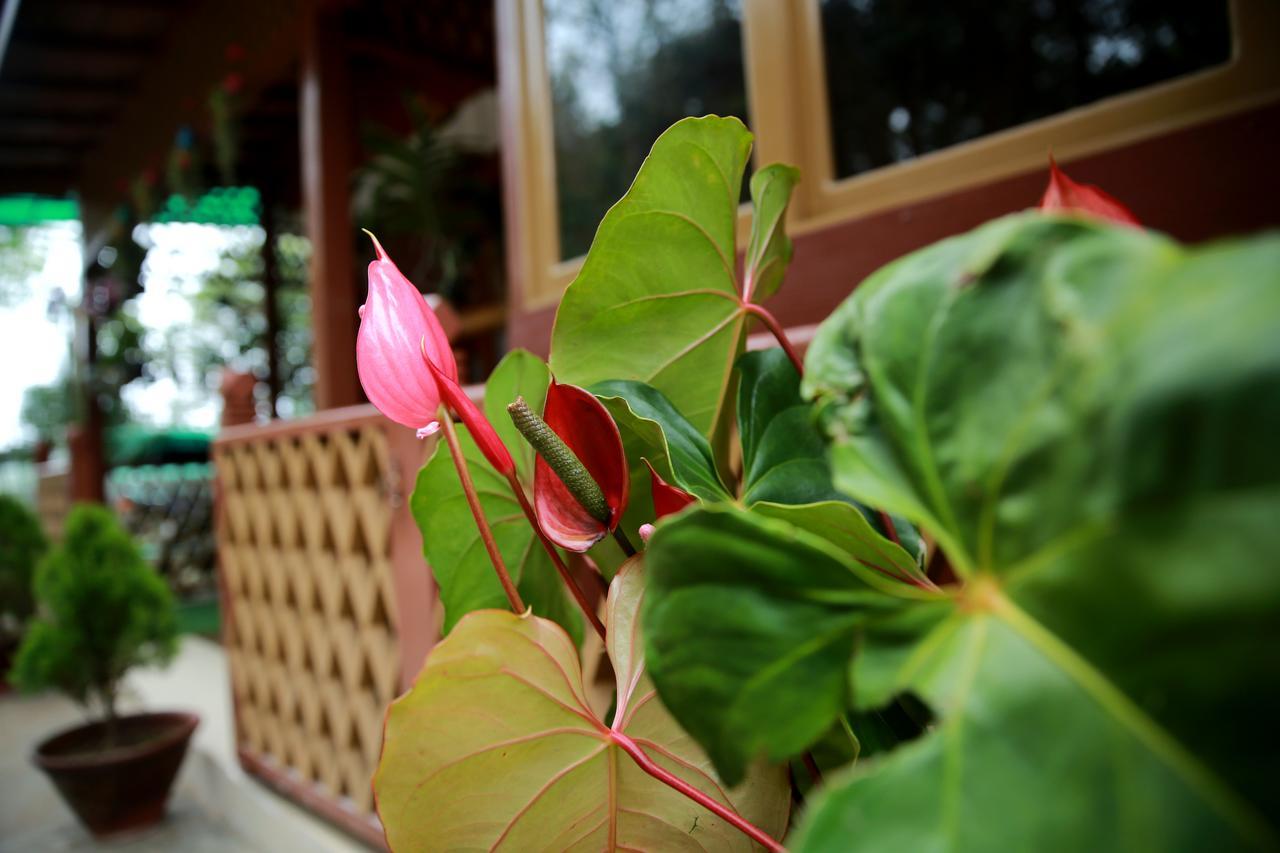 Essence Motel Kalaw Exterior photo